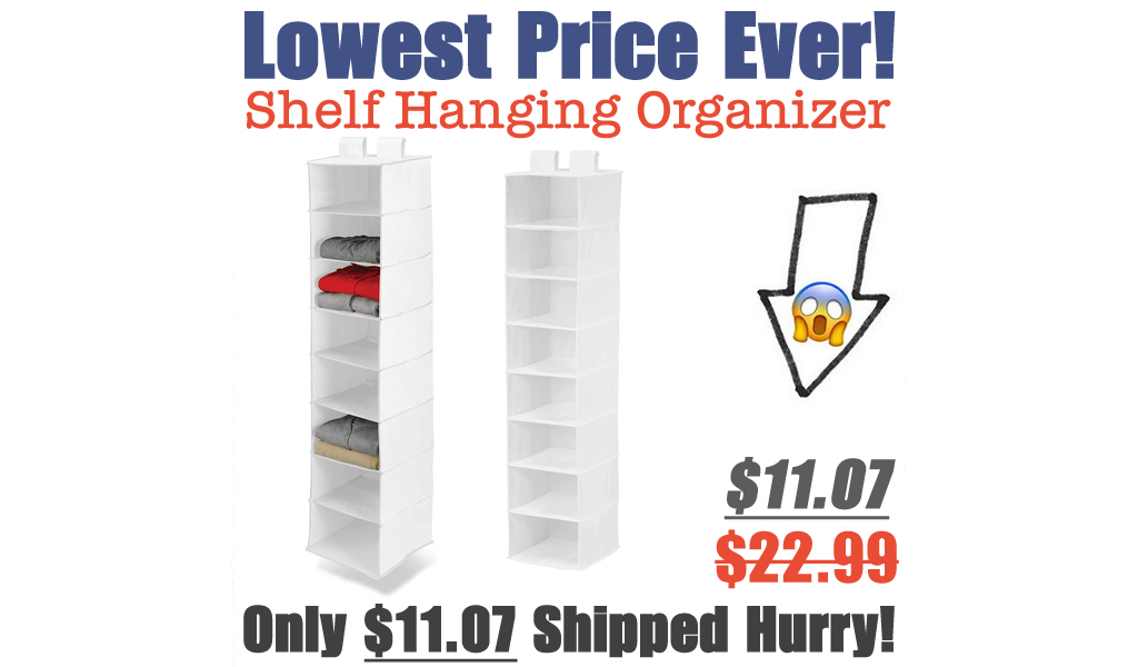 Shelf Hanging Organizer Only $11.07 Shipped on Amazon (Regularly $22.99)