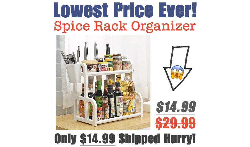 Spice Rack Organizer Only $14.99 Shipped (Regularly $29.99)