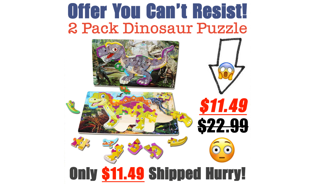 2 Pack Dinosaur Puzzle Only $11.99 Shipped on Amazon (Regularly $22.99)