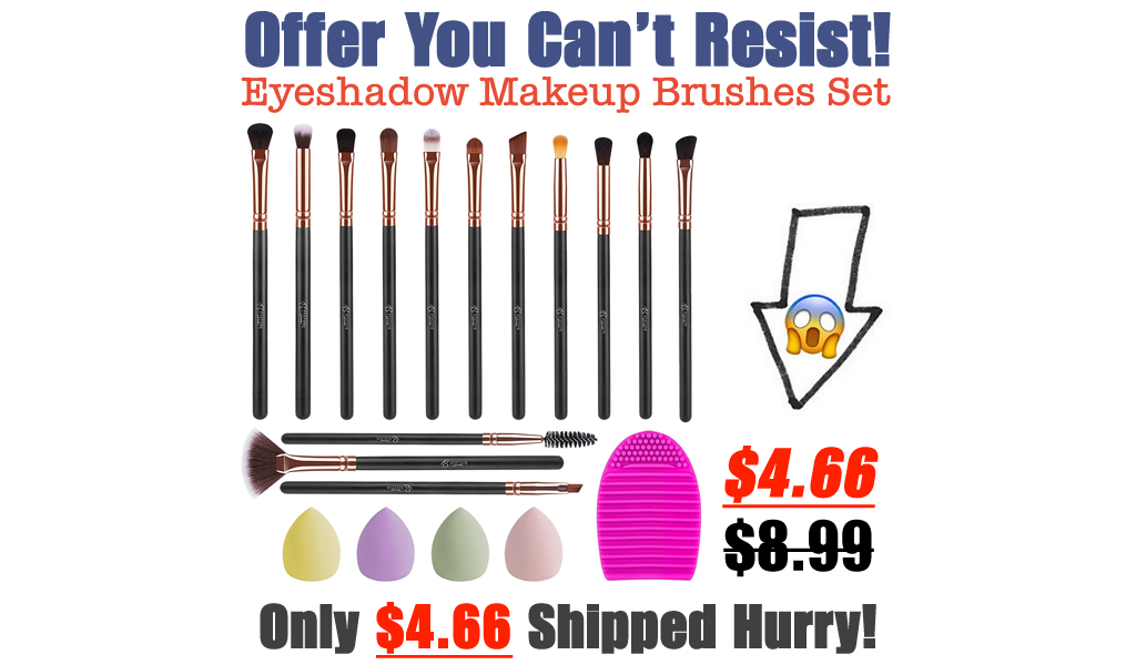 Eyeshadow Makeup Brushes Set - 14 PCS Only $4.66 Shipped on Amazon (Regularly $8.99)
