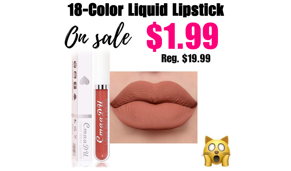 18-Color Liquid Lipstick Only $1.99 Shipped on Amazon (Regularly $19.99)