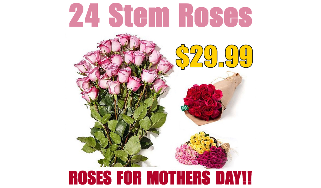 24 Stem Roses Only $29.99 Shipped on Amazon