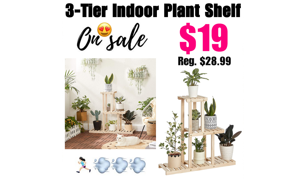 3-Tier Indoor Plant Shelf Only $19 Shipped on Amazon (Regularly $28.99)