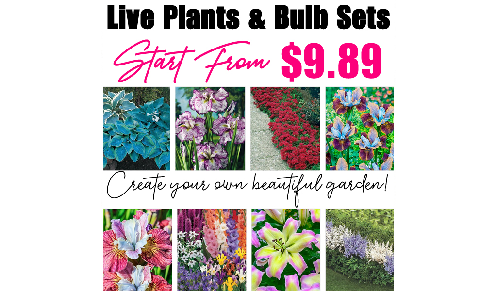 Live Plants & Bulb Sets from $9.89 on Zulily