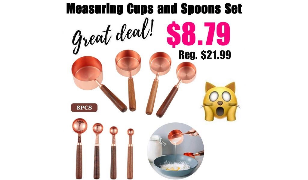 Measuring Cups and Spoons Set Only $8.79 Shipped on Amazon (Regularly $21.99)