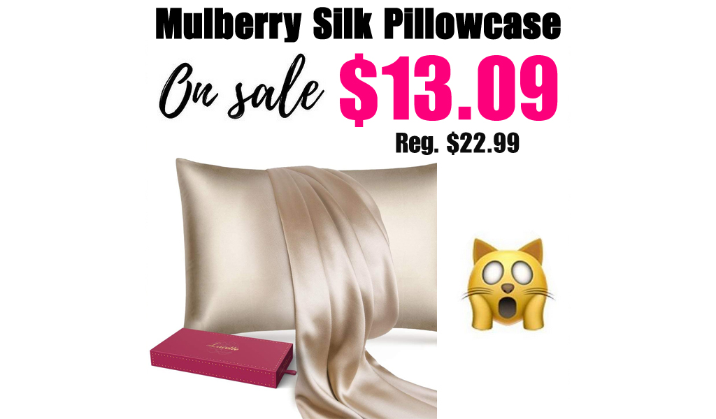 Mulberry Silk Pillowcase Only $13.09 Shipped on Amazon (Regularly $22.99)