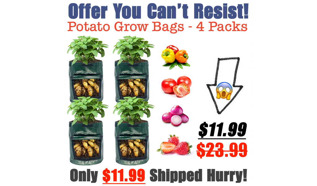 Potato Grow Bags - 4 Packs Only $11.99 Shipped on Amazon (Regularly $23.99)