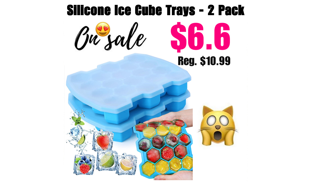 Silicone Ice Cube Trays - 2 Pack Only $6.6 Shipped on Amazon (Regularly $10.99)