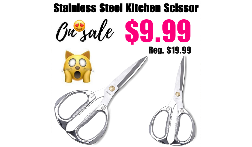Stainless Steel Kitchen Scissor Only $9.99 Shipped on Amazon (Regularly $19.99)