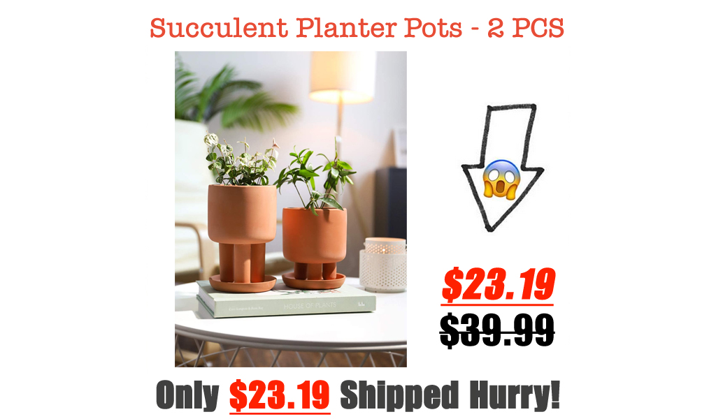 Succulent Planter Pots - 2 PCS Only $23.19 Shipped on Amazon (Regularly $39.99)