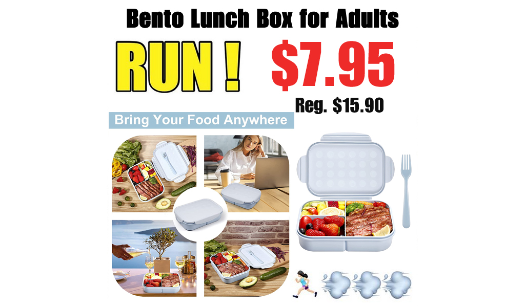 Bento Lunch Box for Adults Only $7.95 Shipped on Amazon (Regularly $15.90)