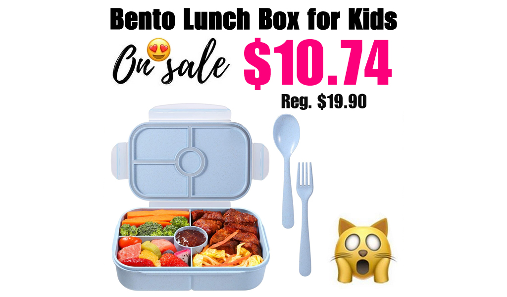 Bento Lunch Box for Kids Only $10.74 Shipped on Amazon (Regularly $19.90)