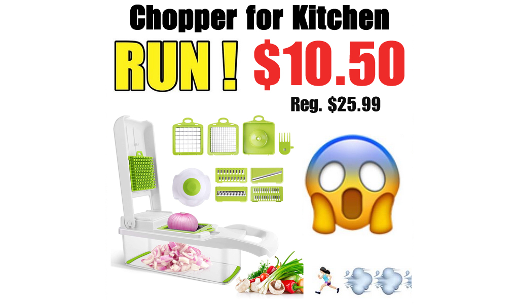 Chopper for Kitchen Only $10.5 Shipped on Amazon (Regularly $25.99)