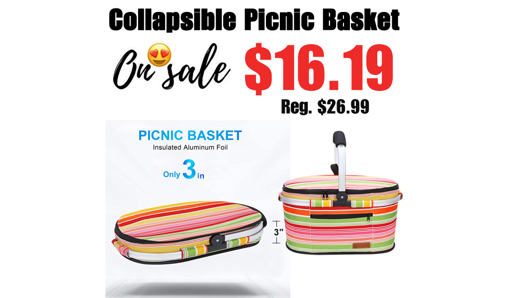 Collapsible Picnic Basket Only $16.19 Shipped on Amazon (Regularly $26.99)