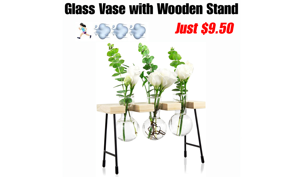 Glass Vase with Wooden Stand Only $9.50 Shipped on Amazon (Regularly $18.99)