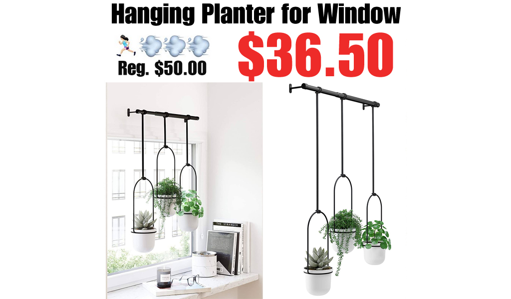 Hanging Planter for Window Only $13.99 Shipped on Amazon (Regularly $50.00)