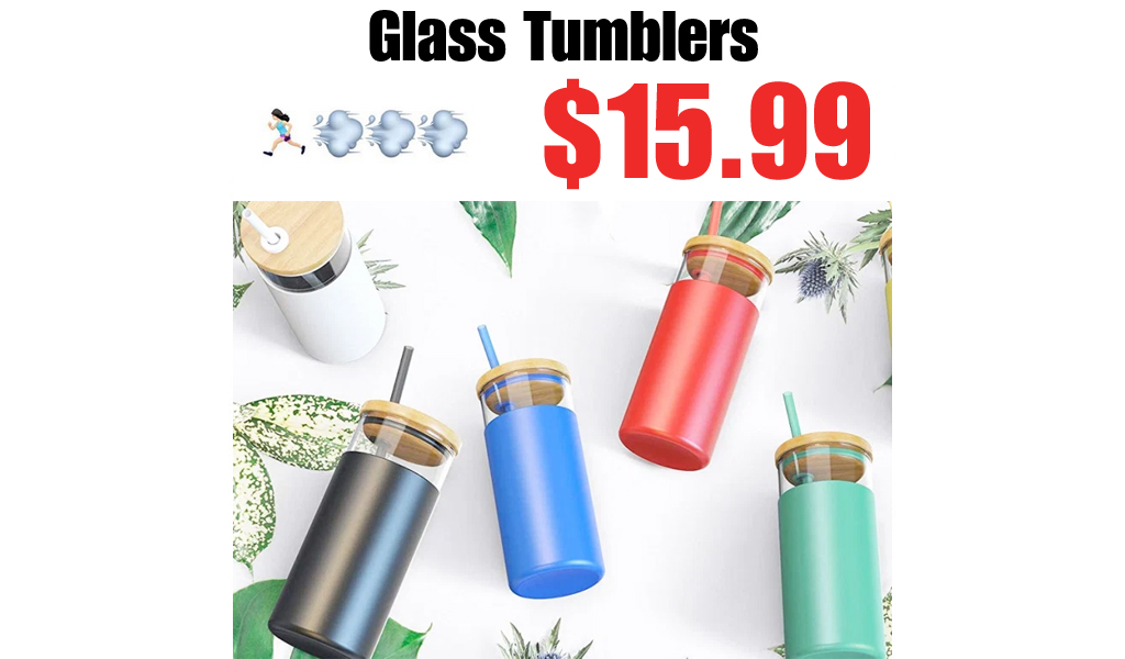 Highly Rated Glass Tumblers Just $15.99 Shipped for Amazon