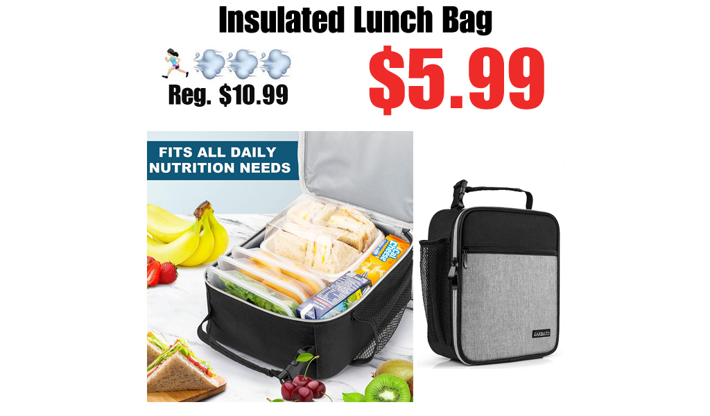 Insulated Lunch Bag Only $5.99 Shipped on Amazon (Regularly $10.99)