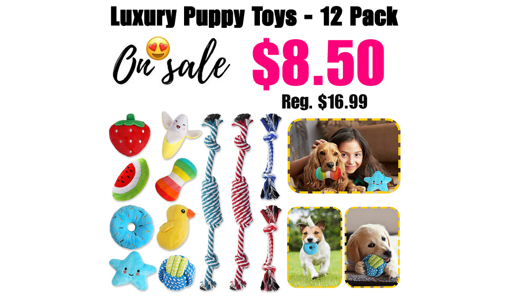 Luxury Puppy Toys - 12 Pack Only $8.50 Shipped on Amazon (Regularly $16.99)