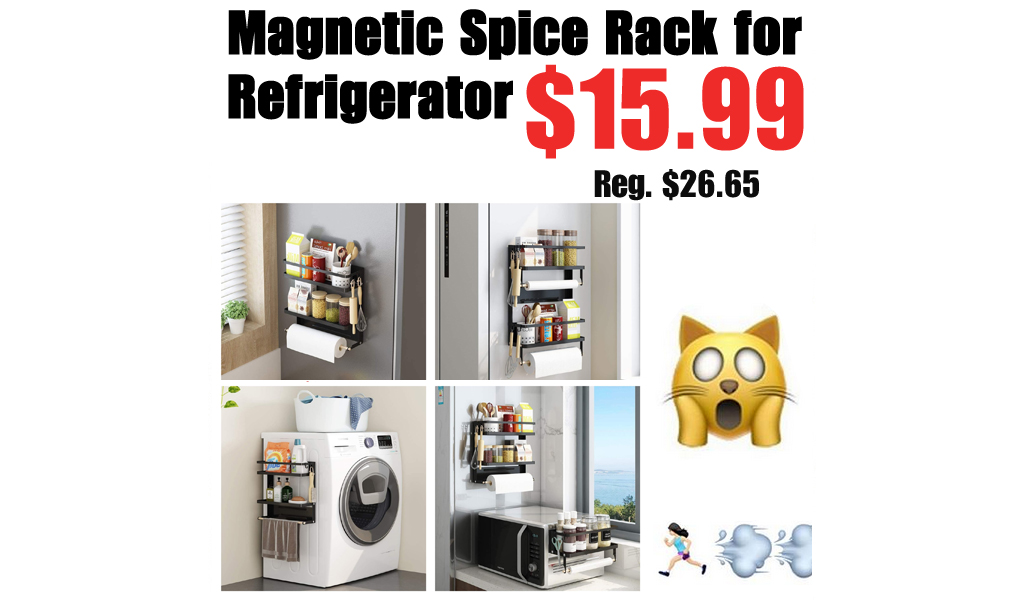 Magnetic Spice Rack for Refrigerator Only $15.99 Shipped on Amazon (Regularly $26.65)