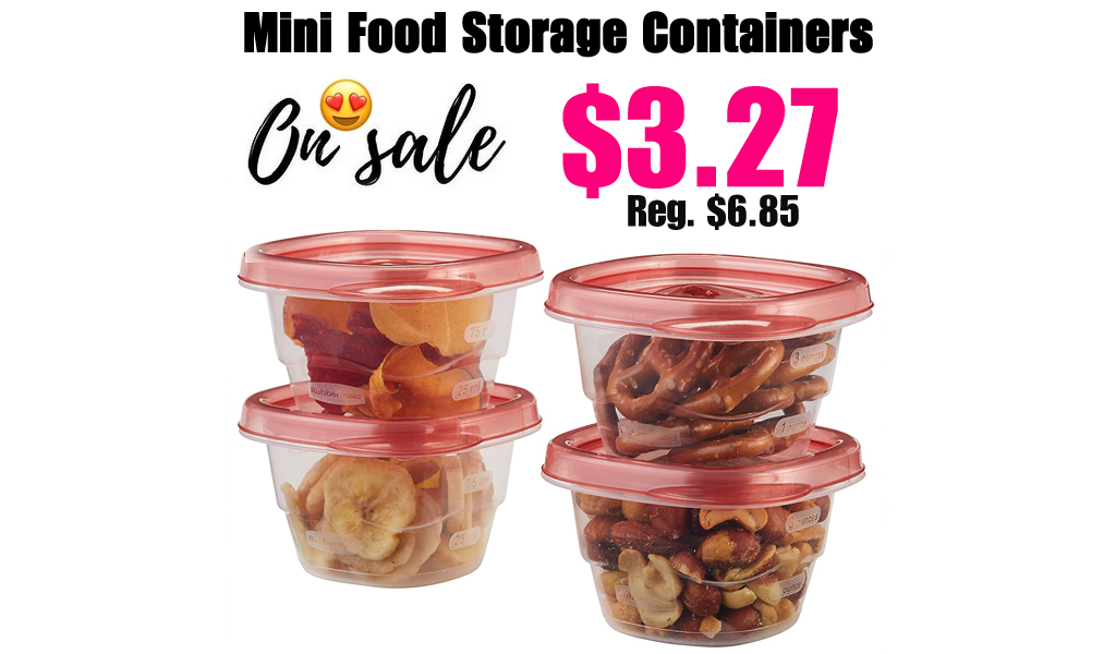 Mini Food Storage Containers Only $3.27 Shipped on Amazon (Regularly $6.85)