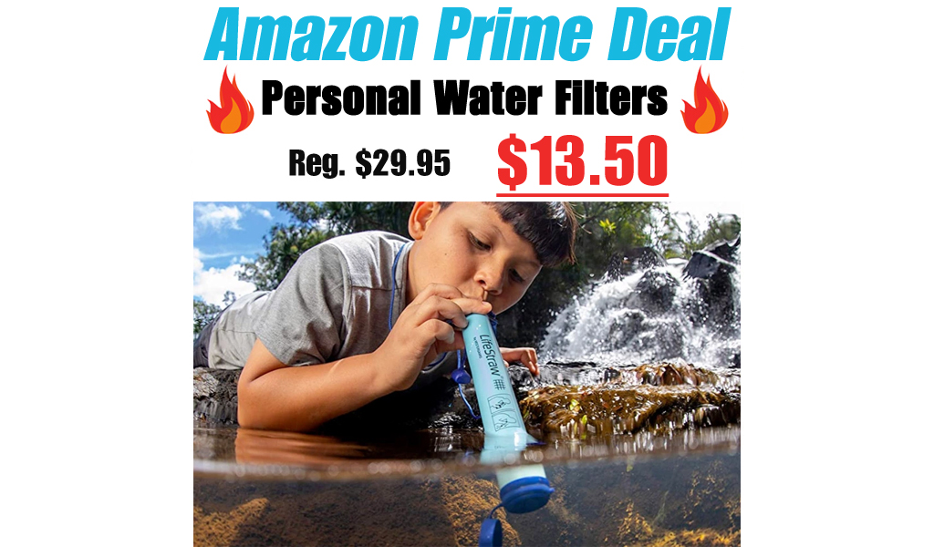 Personal Water Filters for just $13.50 (regularly $29.95)