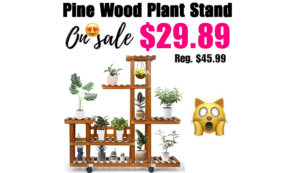 Pine Wood Plant Stand Only $29.89 Shipped on Amazon (Regularly $45.99)