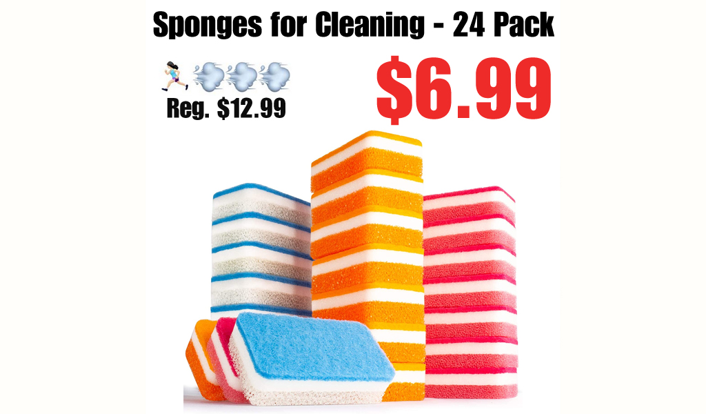 Sponges for Cleaning - 24 Pack Only $6.99 Shipped on Amazon (Regularly $12.99)