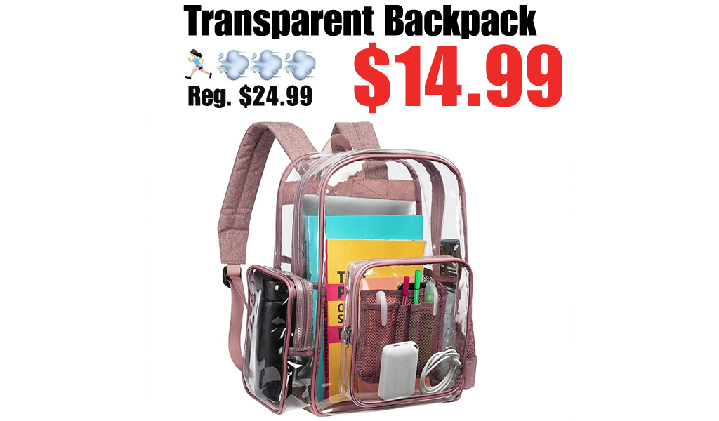 Transparent Backpack Only $14.99 Shipped on Amazon (Regularly $24.99)