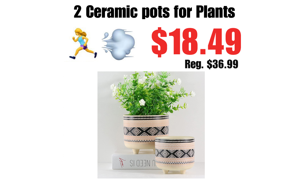 2 Ceramic pots for Plants Only $18.49 Shipped on Amazon (Regularly $36.99)