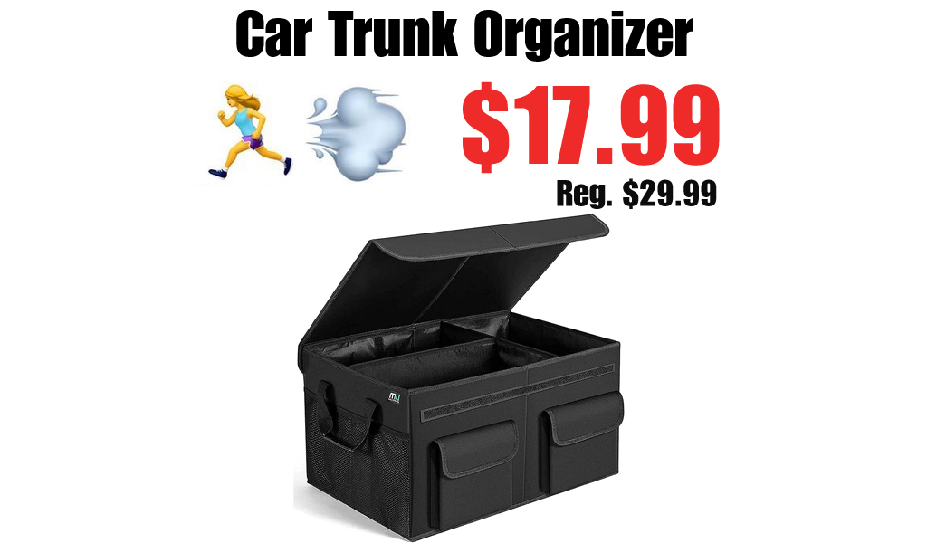 Car Trunk Organizer Only $17.99 Shipped on Amazon (Regularly $29.99)