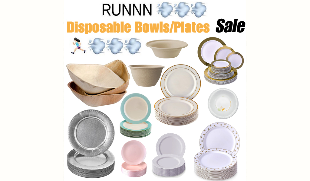 Disposable Bowls and Plates for Less on Wayfair - Big Sale