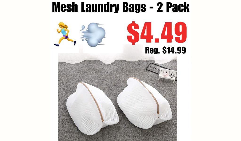 Mesh Laundry Bags - 2 Pack Only $4.49 Shipped on Amazon (Regularly $14.99)