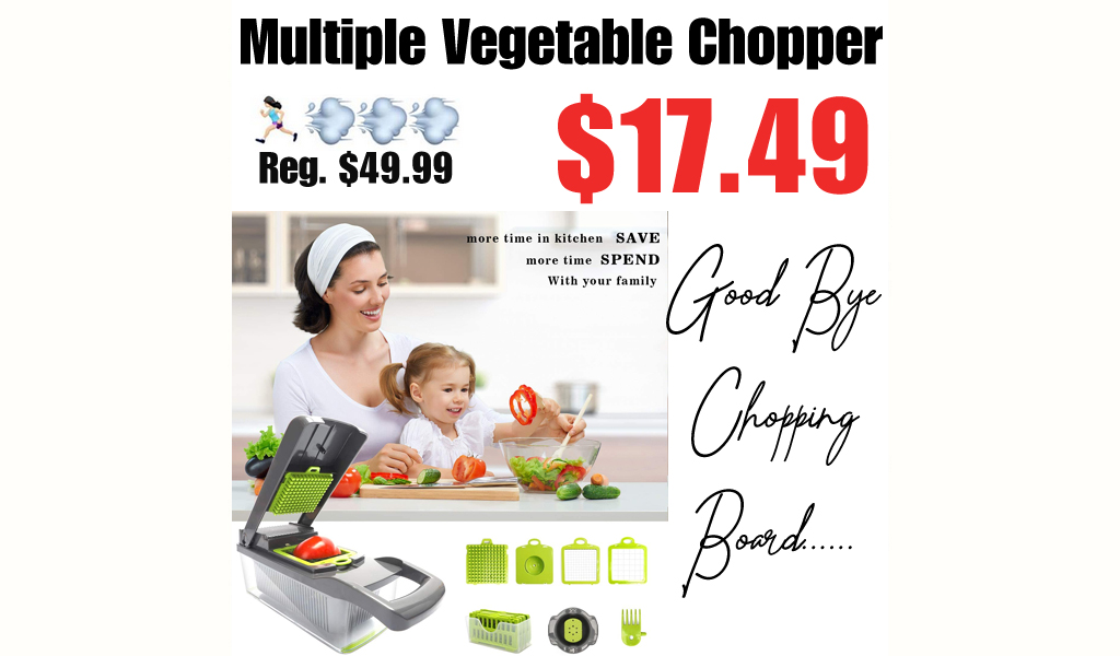 Multiple Vegetable Chopper Only $17.49 Shipped on Amazon (Regularly $49.99)