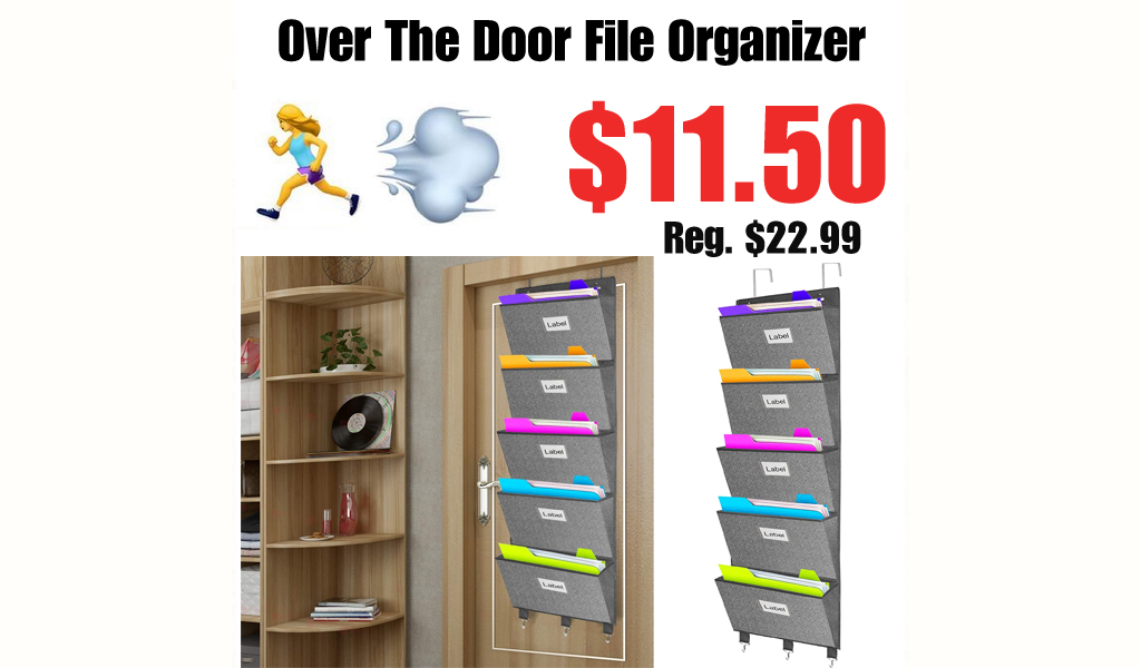 Over The Door File Organizer Only $11.50 Shipped on Amazon (Regularly $22.99)