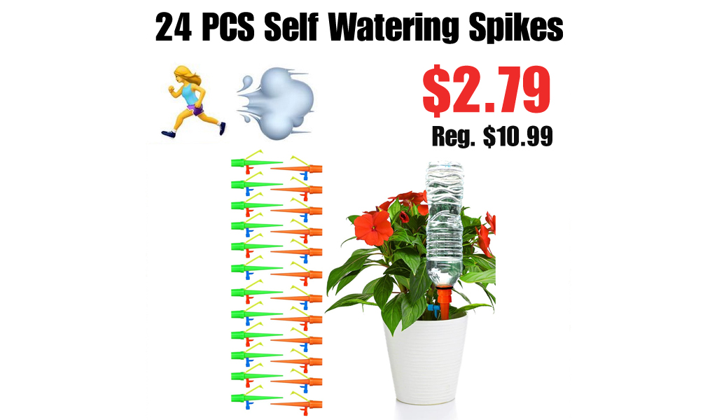 24 PCS Self Watering Spikes Only $2.79 Shipped on Amazon (Regularly $10.99)