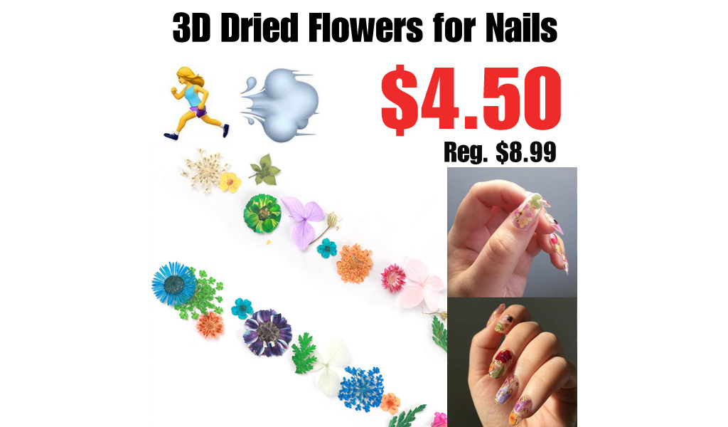3D Dried Flowers for Nails Only $4.50 Shipped on Amazon (Regularly $8.99)