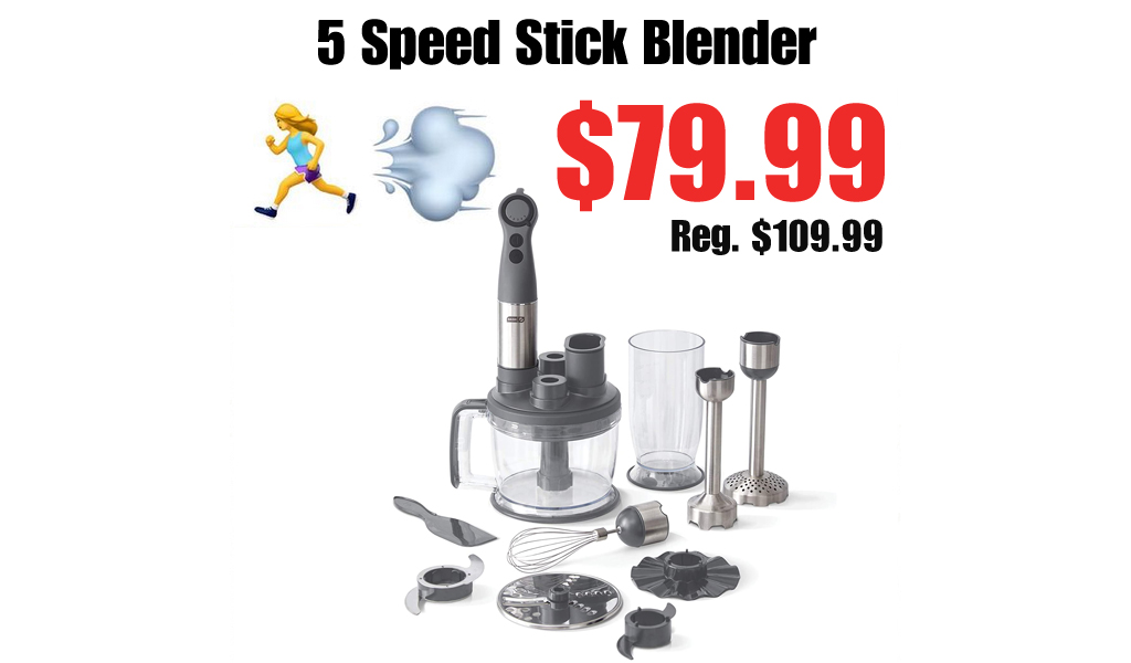 5 Speed Stick Blender Only $79.99 Shipped on Amazon (Regularly $109.99)