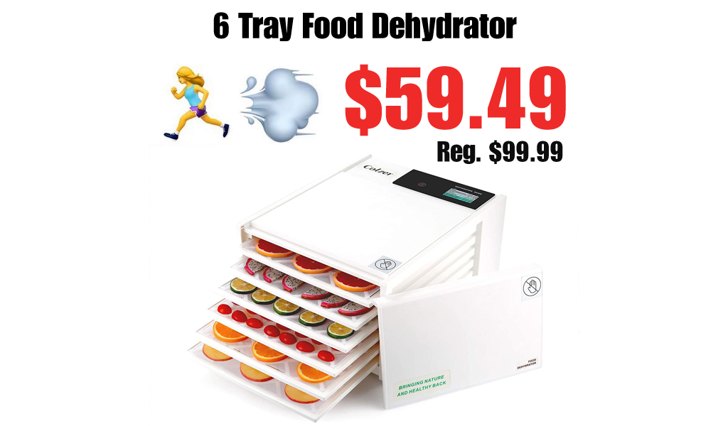 6 Tray Food Dehydrator Only $59.49 Shipped on Amazon (Regularly $99.99)