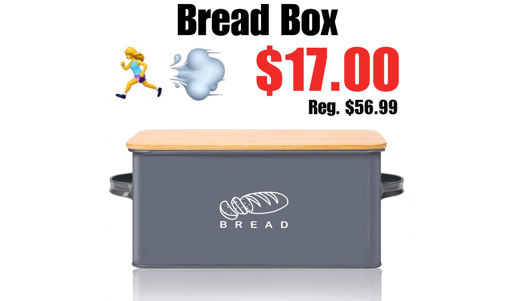 Bread Box Only $17.00 Shipped on Amazon (Regularly $56.99)