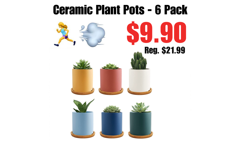 Ceramic Plant Pots - 6 Pack Only $9.90 Shipped on Amazon (Regularly $21.99)