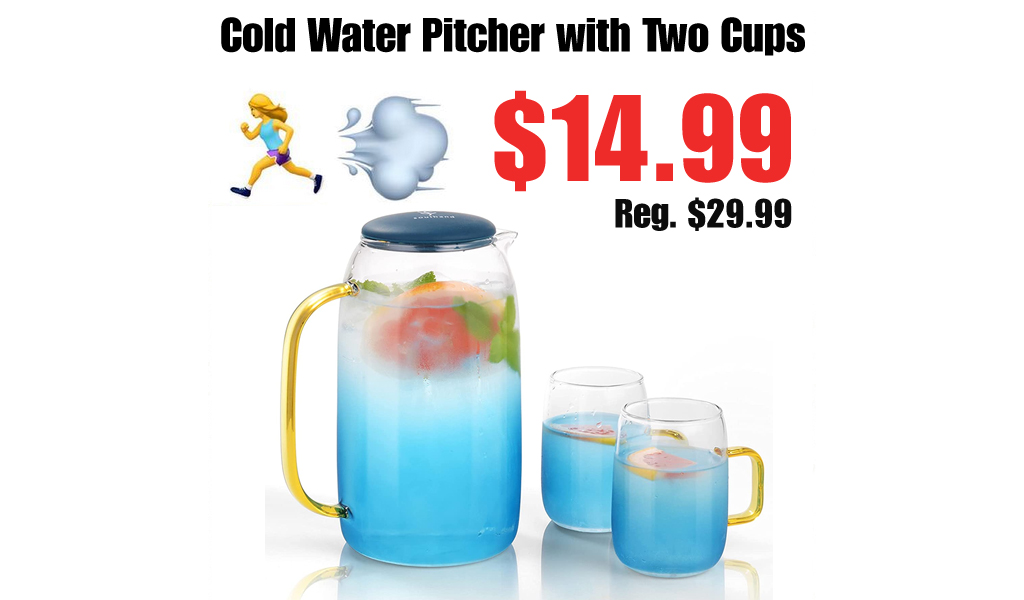 Cold Water Pitcher with Two Cups Just $14.99 Shipped on Amazon (Regularly $29.99)