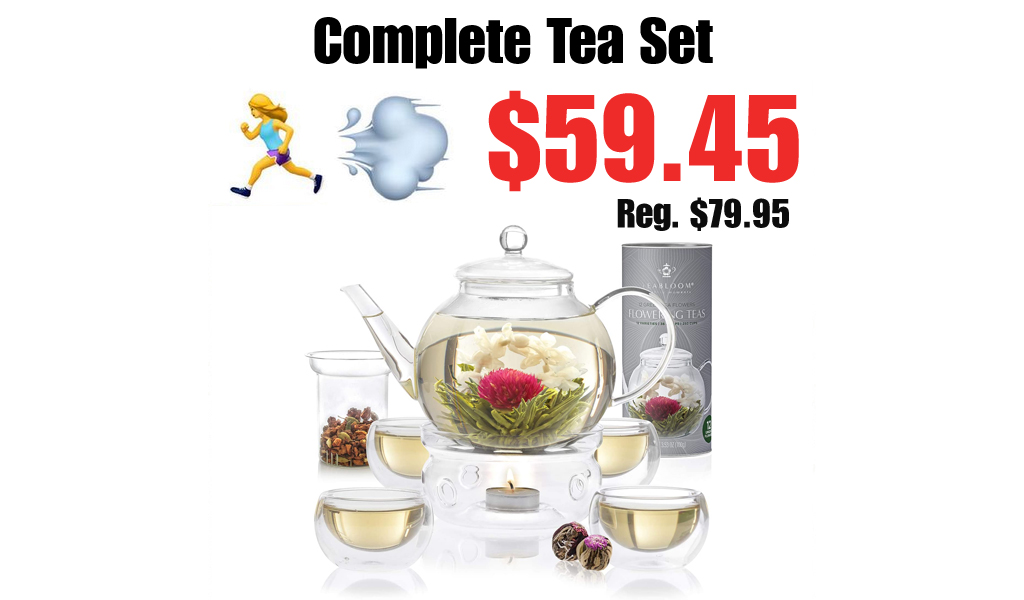 Complete Tea Set Only $59.45 Shipped on Amazon (Regularly $79.95)
