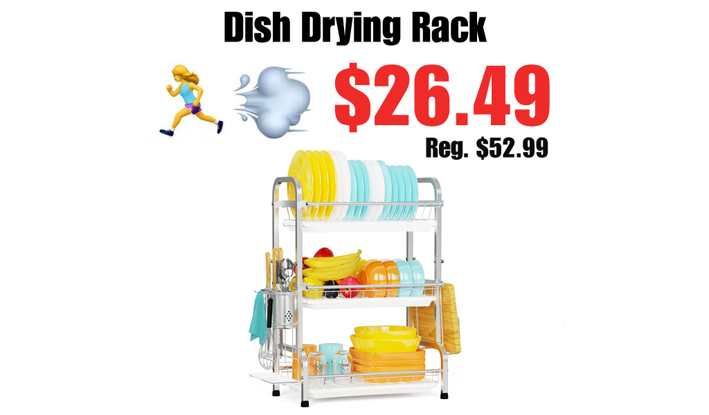 Dish Drying Rack Only $26.49 Shipped on Amazon (Regularly $52.99)