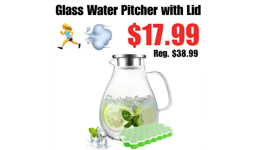 Glass Water Pitcher with Lid Only $17.99 Shipped on Amazon (Regularly $38.99)