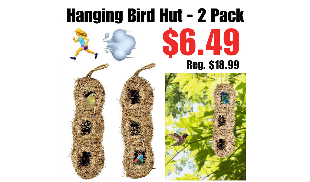 Hanging Bird Hut - 2 Pack Just $6.49 Shipped on Amazon (Regularly $18.99)