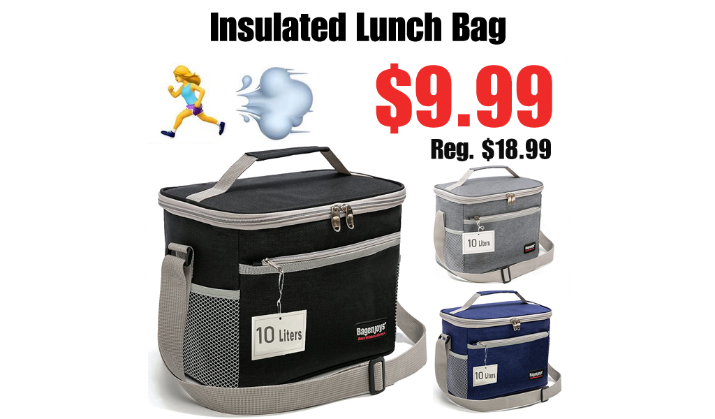 Insulated Lunch Bag Only $9.99 Shipped on Amazon (Regularly $18.99)
