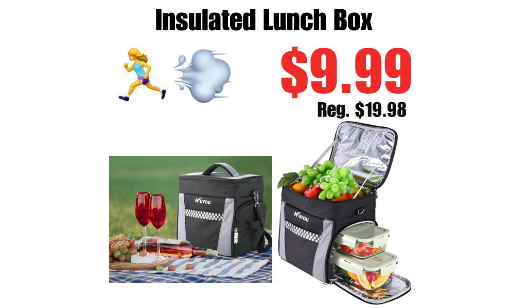 Insulated Lunch Box Only $9.99 Shipped on Amazon (Regularly $19.98)