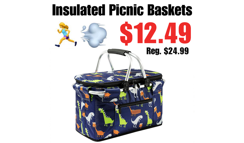 Insulated Picnic Baskets Only $12.49 Shipped on Amazon (Regularly $24.99)