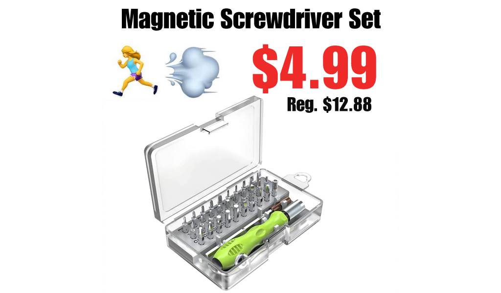 Magnetic Screwdriver Set Only $4.99 Shipped on Amazon (Regularly $12.88)